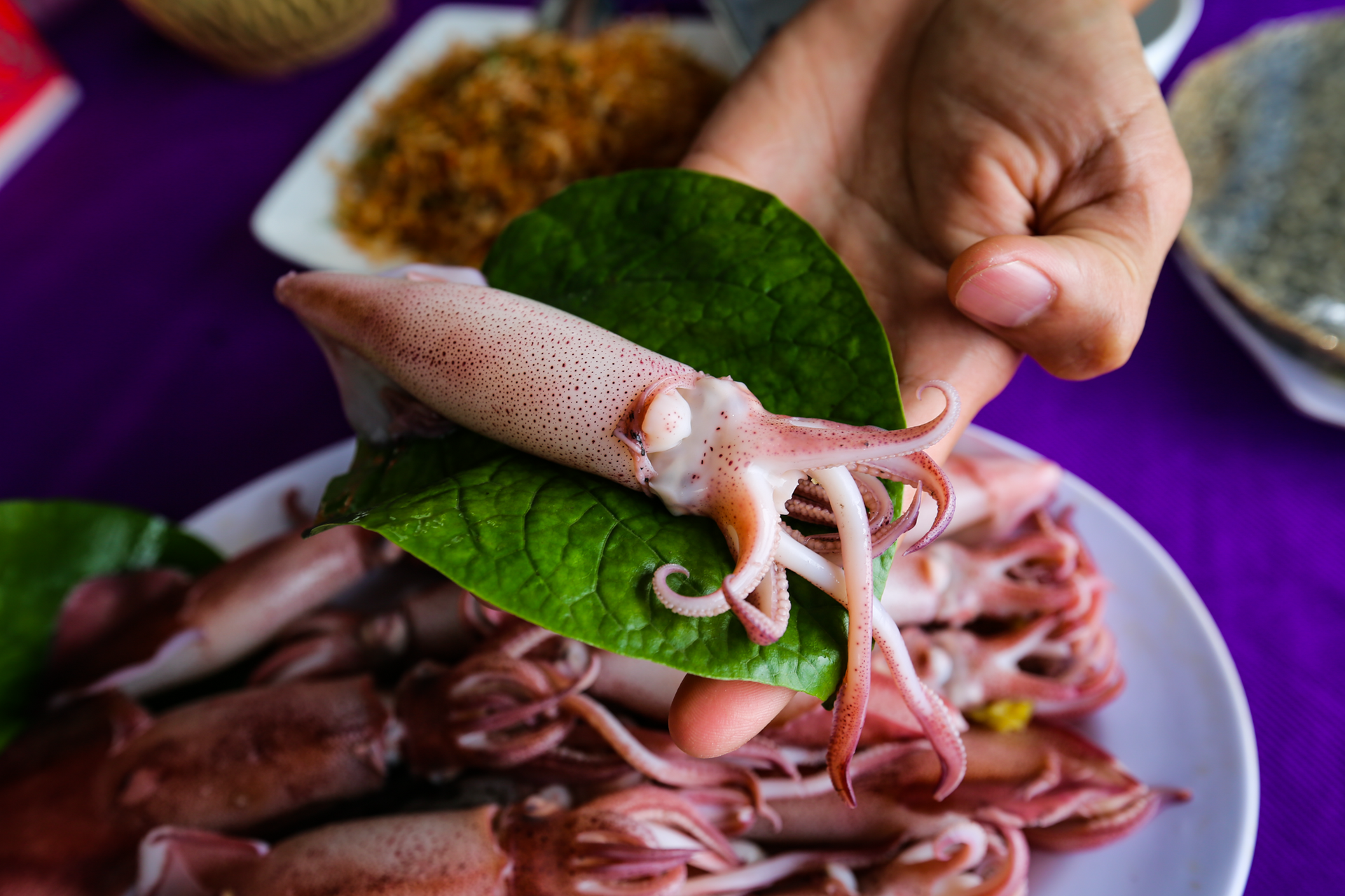 Mực nhảy Vũng Áng vào mùa, giá đắt đỏ vẫn 'cháy hàng' - Ảnh 11