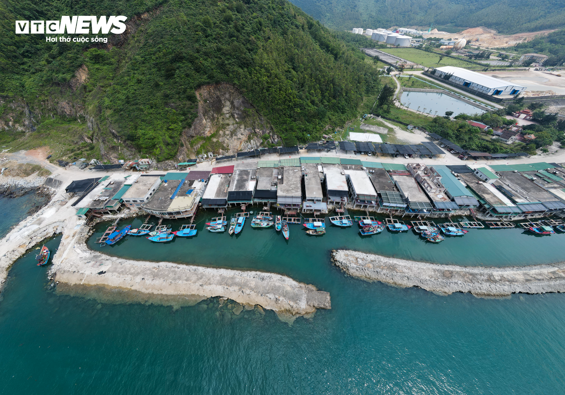 Mực nhảy Vũng Áng vào mùa, giá đắt đỏ vẫn 'cháy hàng' - Ảnh 9