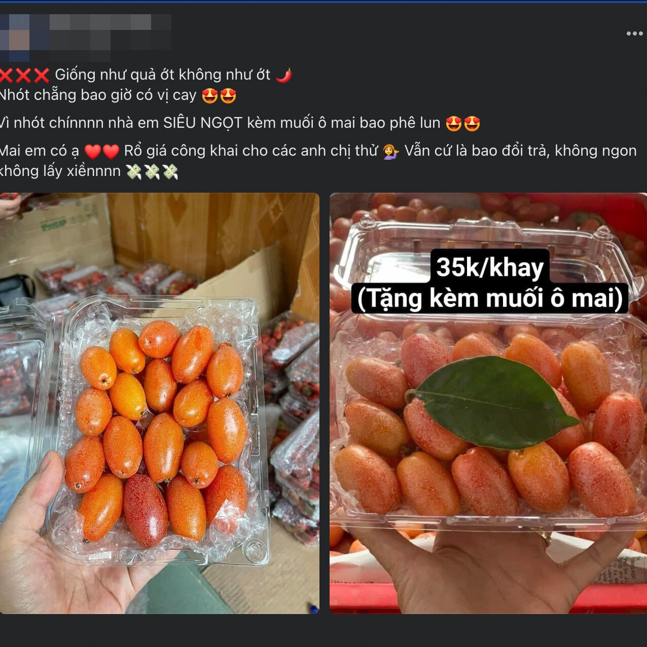 'Thủ phủ' nhót ở Hà Nội mất mùa, giá tăng dựng đứng - Ảnh 17