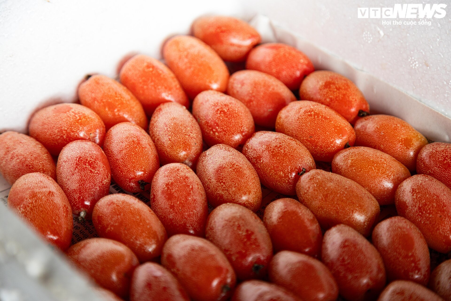 'Thủ phủ' nhót ở Hà Nội mất mùa, giá tăng dựng đứng - Ảnh 15