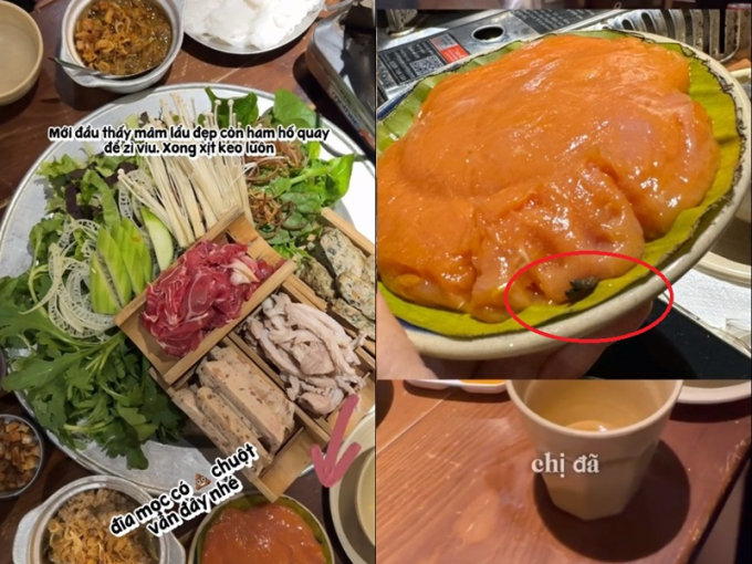 Đĩa mọc nhúng lẩu "đính kèm" chất thải chuột trong nhà hàng ở Hà Nội khiến khách kinh hãi, nghe nhân viên giải thích càng thêm "rụng rời" - Ảnh 1