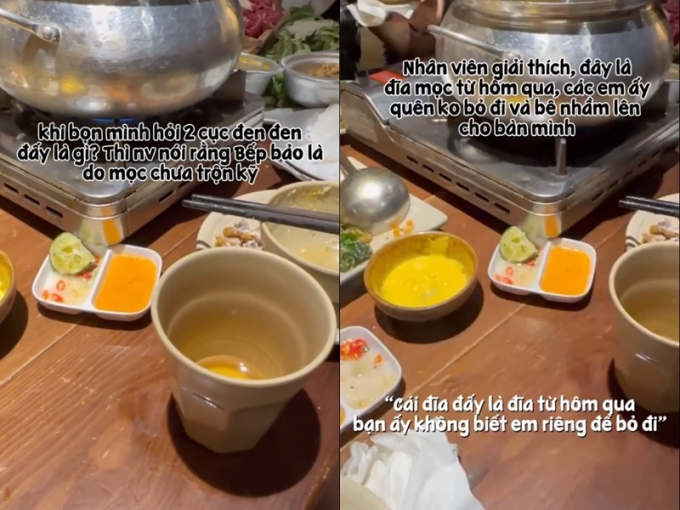 Đĩa mọc nhúng lẩu "đính kèm" chất thải chuột trong nhà hàng ở Hà Nội khiến khách kinh hãi, nghe nhân viên giải thích càng thêm "rụng rời" - Ảnh 2