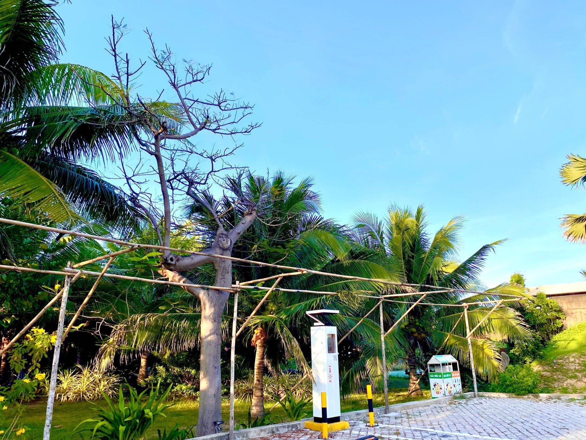 Hệ thống trạm sạc xe ô tô điện và xe máy điện tại Việt Nam ứng dụng AI - Ảnh 2