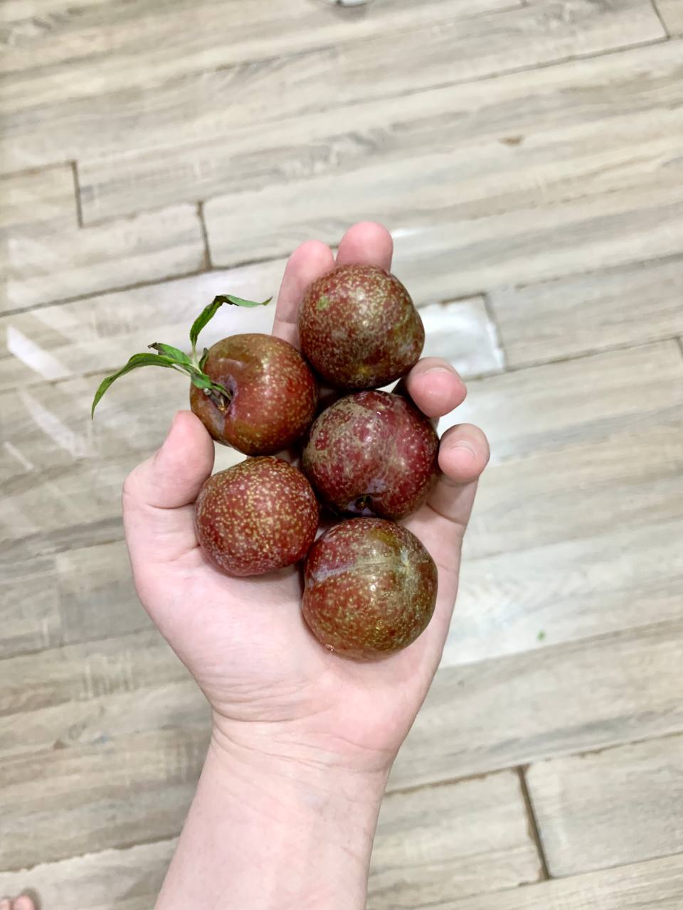 40k chỉ mua được 5 quả mận: Người ngậm ngùi "chịu trận" vì mận đầu mùa, người than thở vì giá trên trời - Ảnh 2