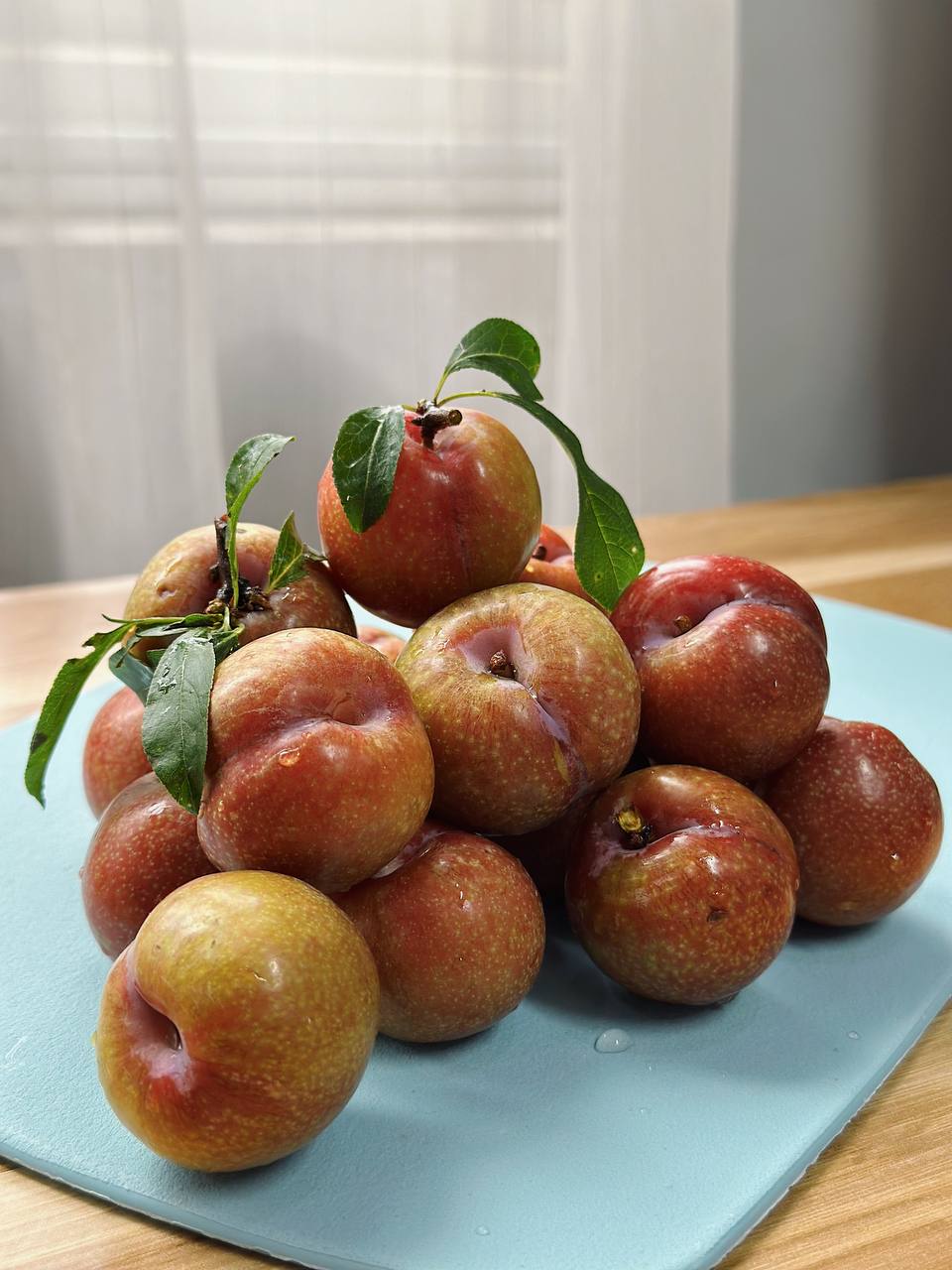 Tình hình mận đầu mùa: Vài trăm nghìn/kg vẫn đổ xô mua, dân tình mukbang rần rần dù chua nhăn mặt - Ảnh 11