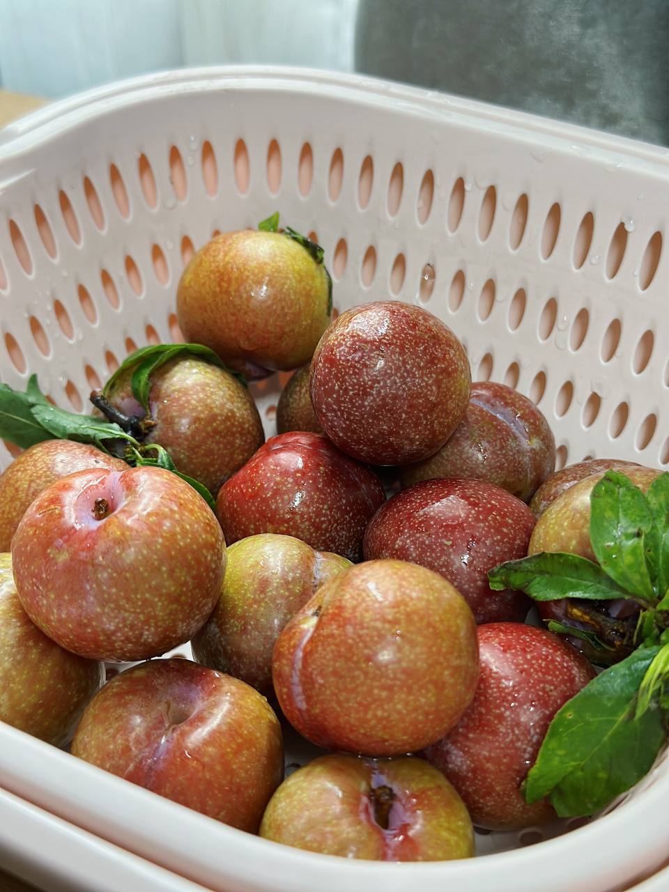 Tình hình mận đầu mùa: Vài trăm nghìn/kg vẫn đổ xô mua, dân tình mukbang rần rần dù chua nhăn mặt - Ảnh 10