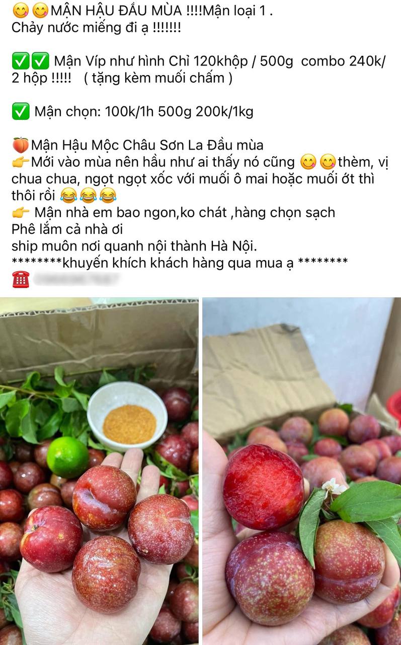 Tình hình mận đầu mùa: Vài trăm nghìn/kg vẫn đổ xô mua, dân tình mukbang rần rần dù chua nhăn mặt - Ảnh 6