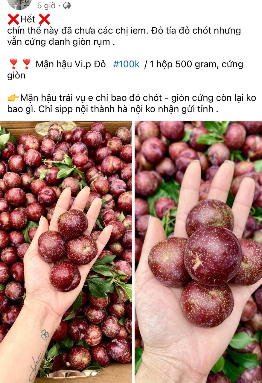 Tình hình mận đầu mùa: Vài trăm nghìn/kg vẫn đổ xô mua, dân tình mukbang rần rần dù chua nhăn mặt - Ảnh 7