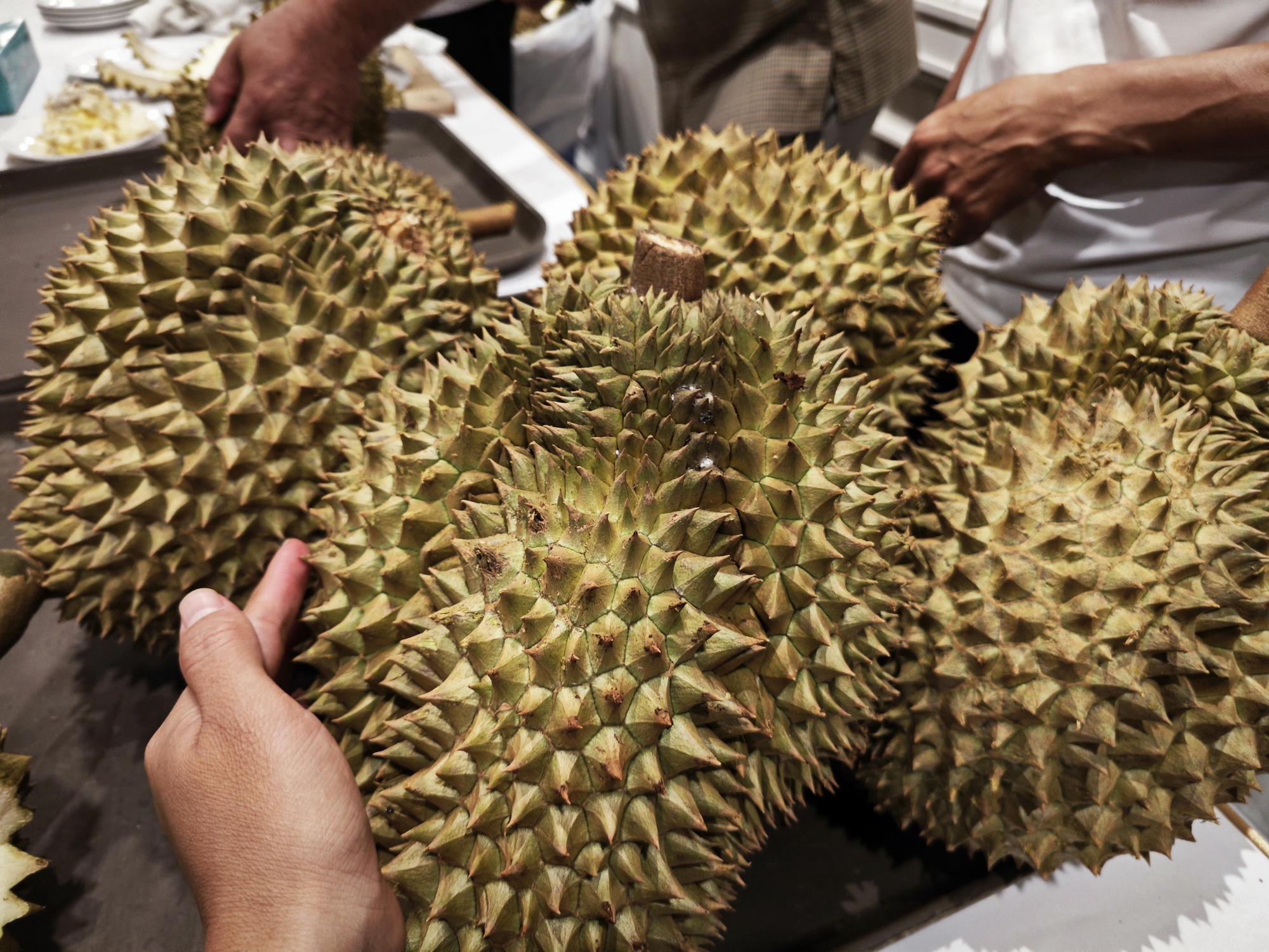 Thêm một loại sầu riêng sắp được xuất khẩu sang Trung Quốc - Ảnh 1