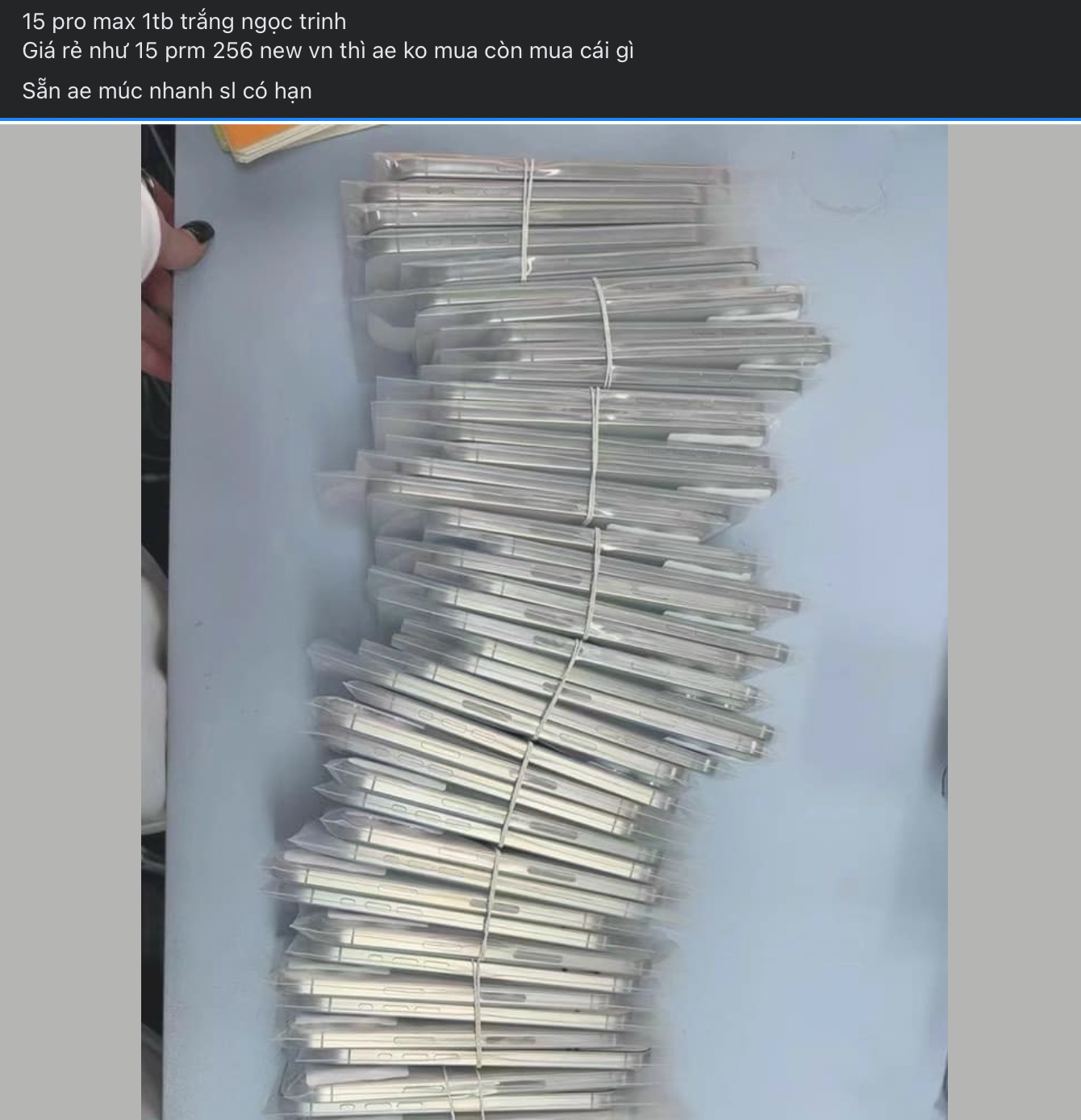 iPhone 15 Pro Max "max option" tràn về Việt Nam: Giá rẻ giật mình, nhưng cần lưu tâm những điều sau - Ảnh 1