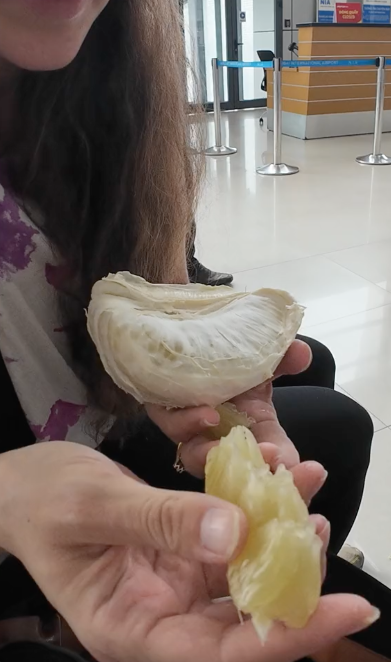 Du khách Tây rối rít cảm ơn khi được người Việt tặng trái cây, bất ngờ khi thử ăn bưởi Việt Nam - Ảnh 4