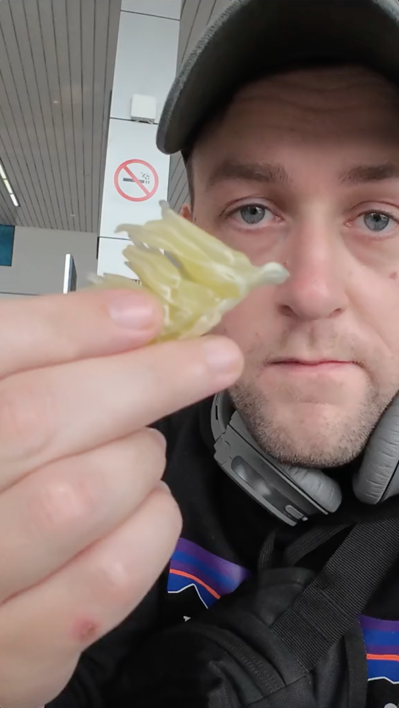 Du khách Tây rối rít cảm ơn khi được người Việt tặng trái cây, bất ngờ khi thử ăn bưởi Việt Nam - Ảnh 5