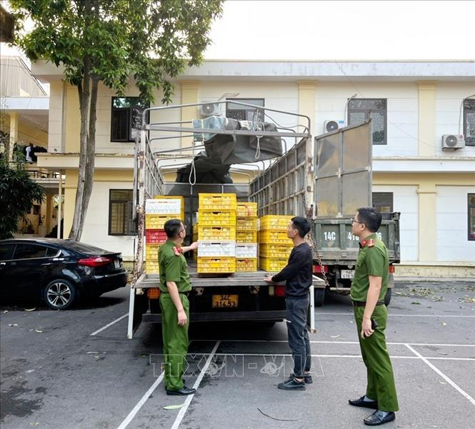 Thu giữ hơn 10.000 quả trứng gia cầm không rõ nguồn gốc - Ảnh 1