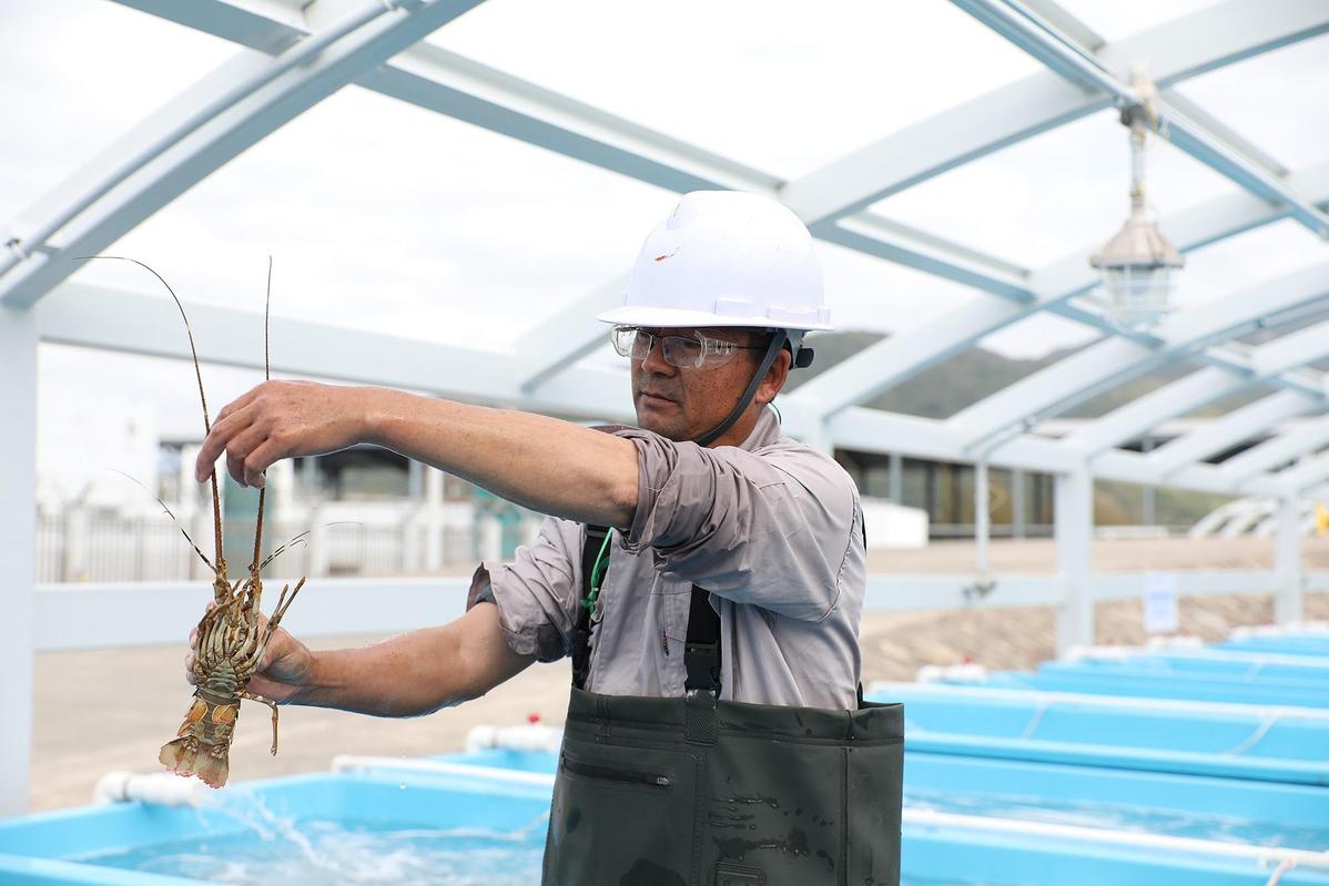 Hạn chế nhập khẩu “siêu thực phẩm” cho nhà giàu, Trung Quốc làm dự án chưa từng có, sản lượng 50 tấn/năm - Ảnh 1