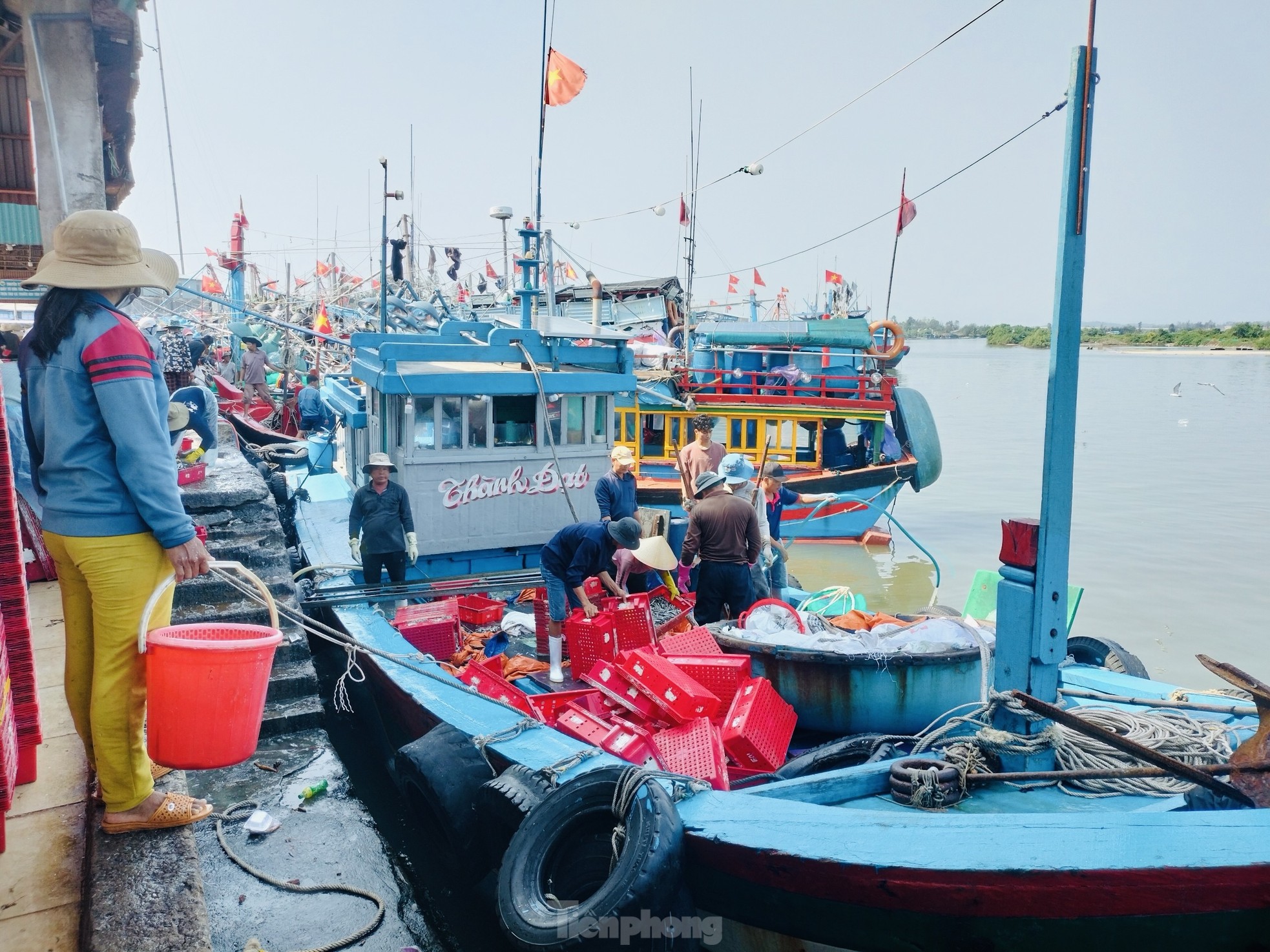 Ngư dân 'hốt bạc' vì trúng đậm mẻ cá lớn trong đêm - Ảnh 4