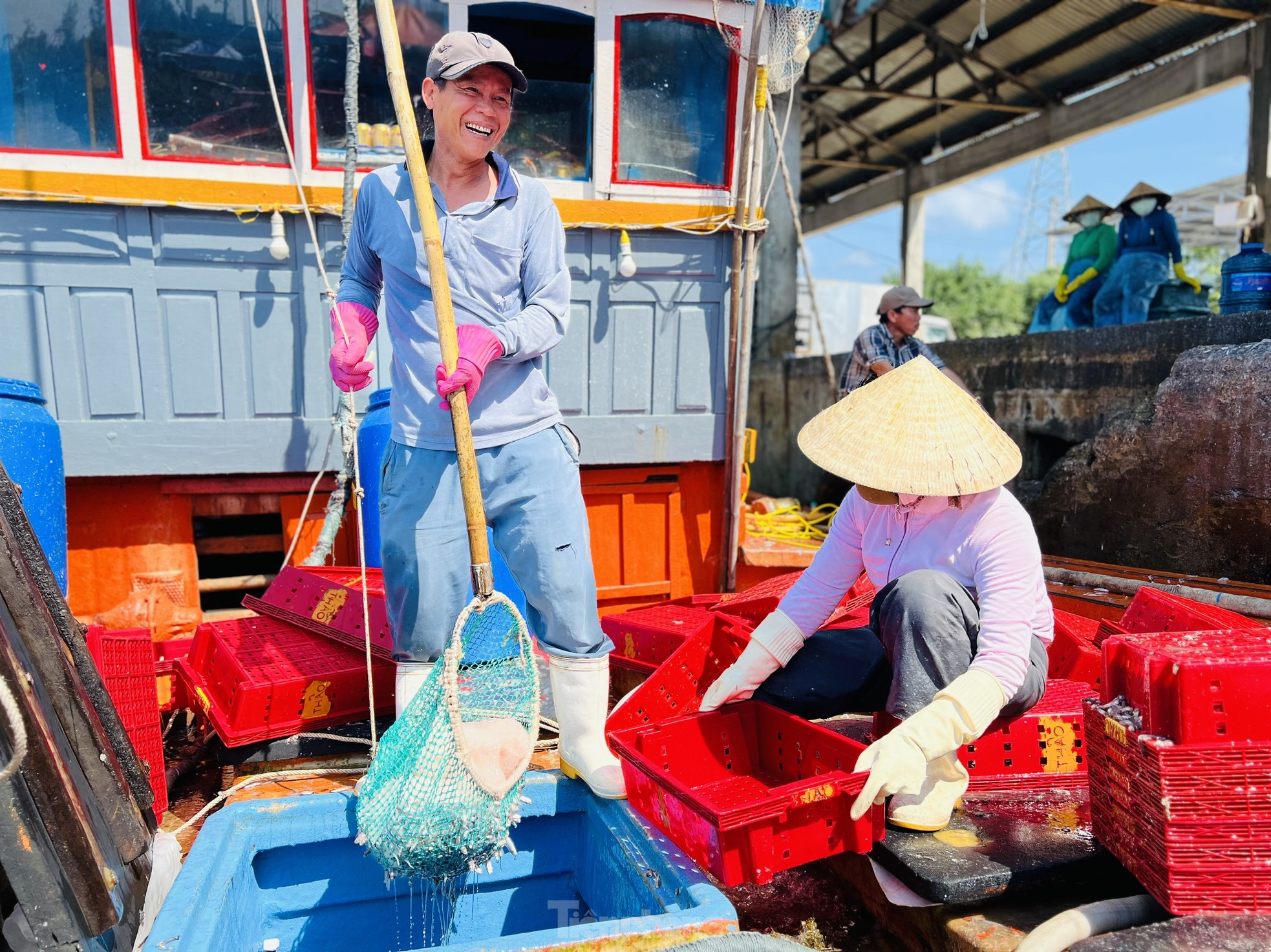 Ngư dân 'hốt bạc' vì trúng đậm mẻ cá lớn trong đêm - Ảnh 5