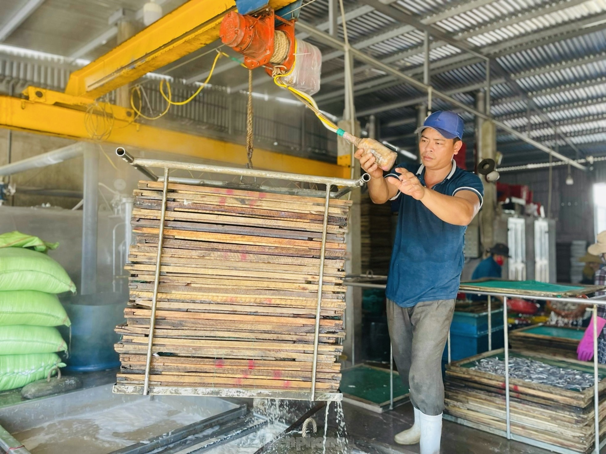 Ngư dân 'hốt bạc' vì trúng đậm mẻ cá lớn trong đêm - Ảnh 15