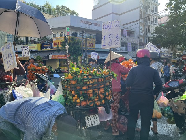 Sự thật quýt Úc tràn ngập chợ, giá siêu rẻ - Ảnh 3