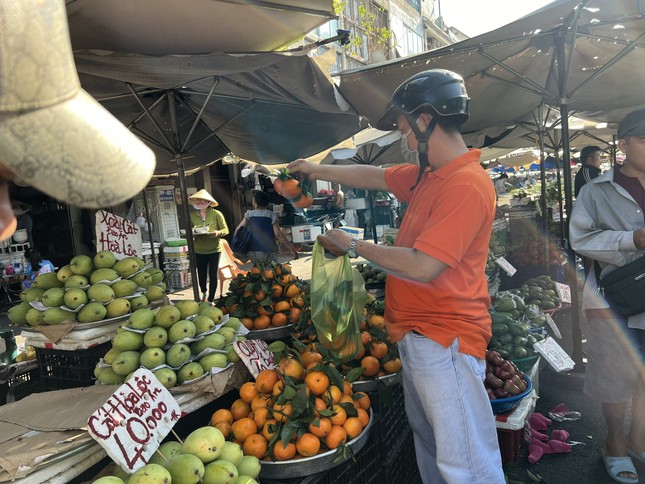 Sự thật quýt Úc tràn ngập chợ, giá siêu rẻ - Ảnh 1