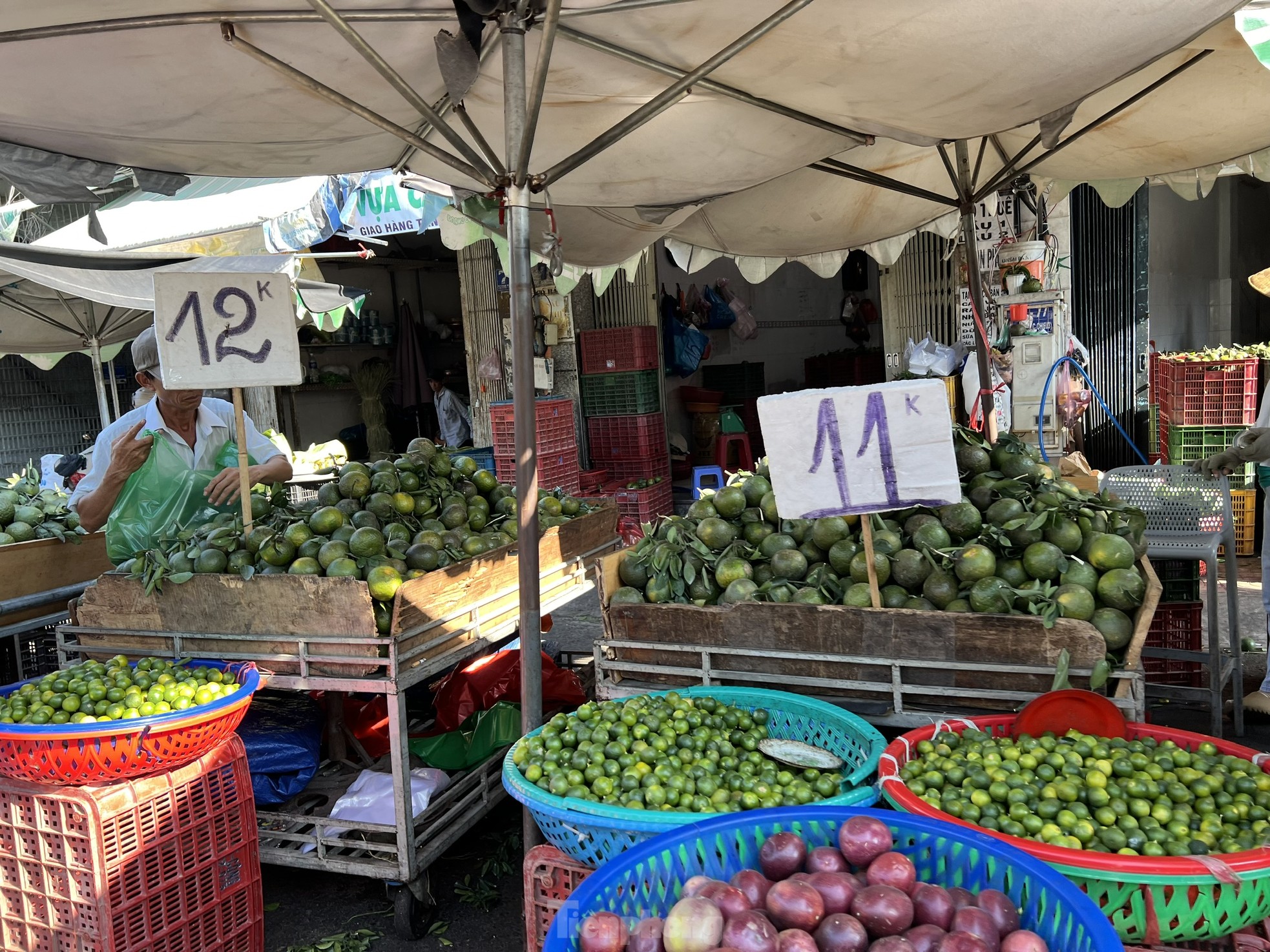 Trái cây rẻ không tưởng, cam sành chỉ 7.000 đồng/kg - Ảnh 2