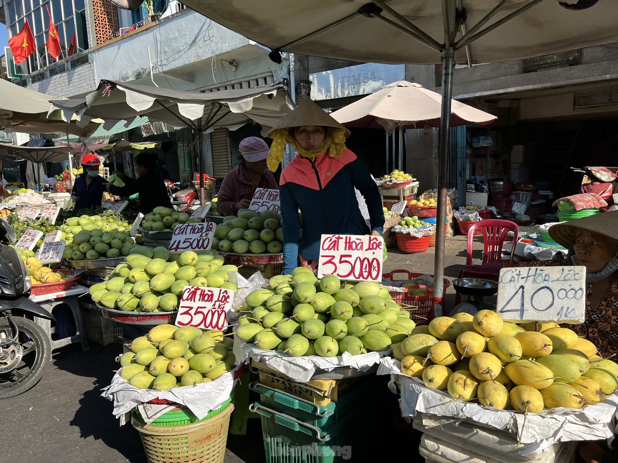 Trái cây rẻ không tưởng, cam sành chỉ 7.000 đồng/kg - Ảnh 5