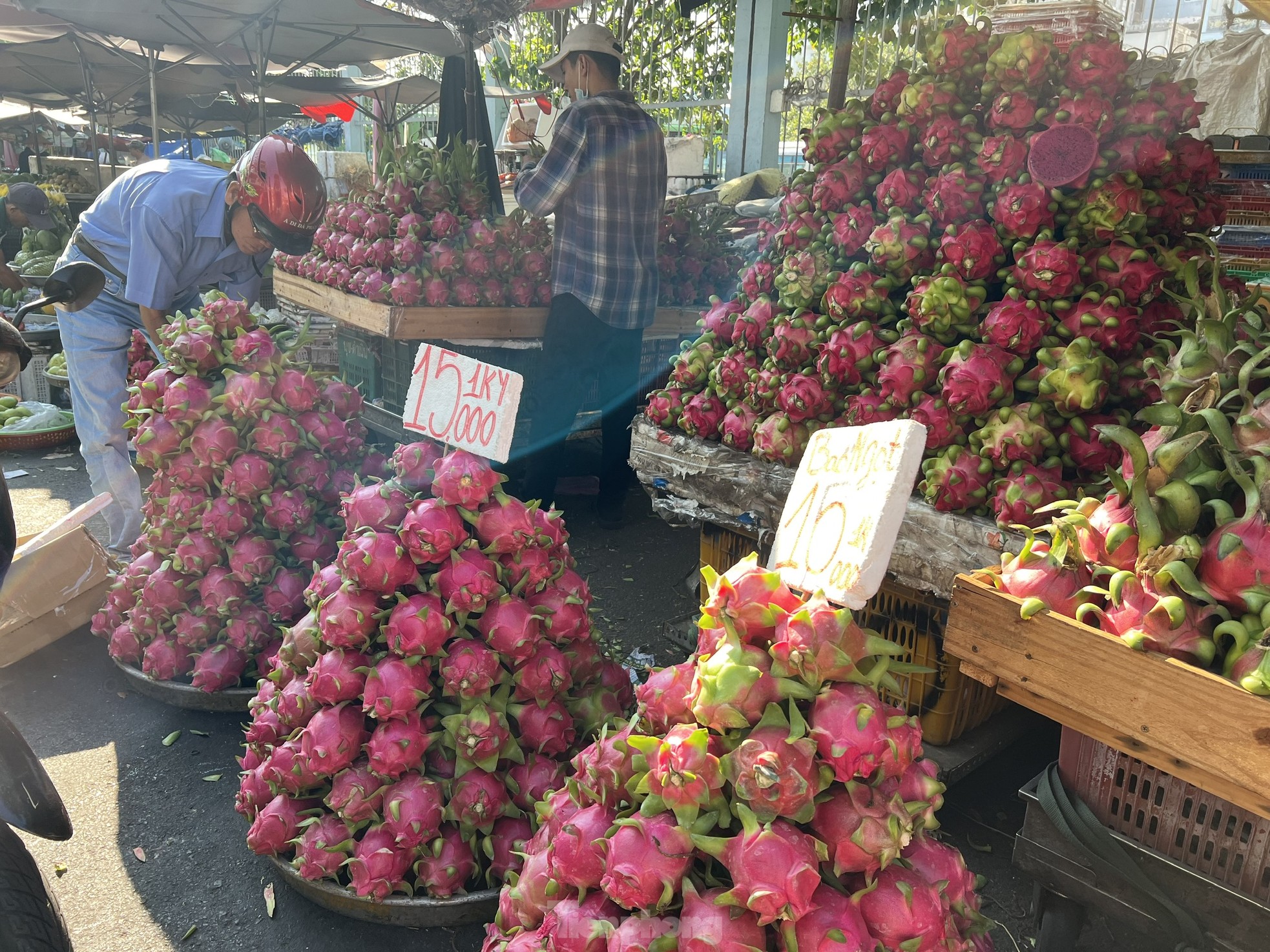 Trái cây rẻ không tưởng, cam sành chỉ 7.000 đồng/kg - Ảnh 7