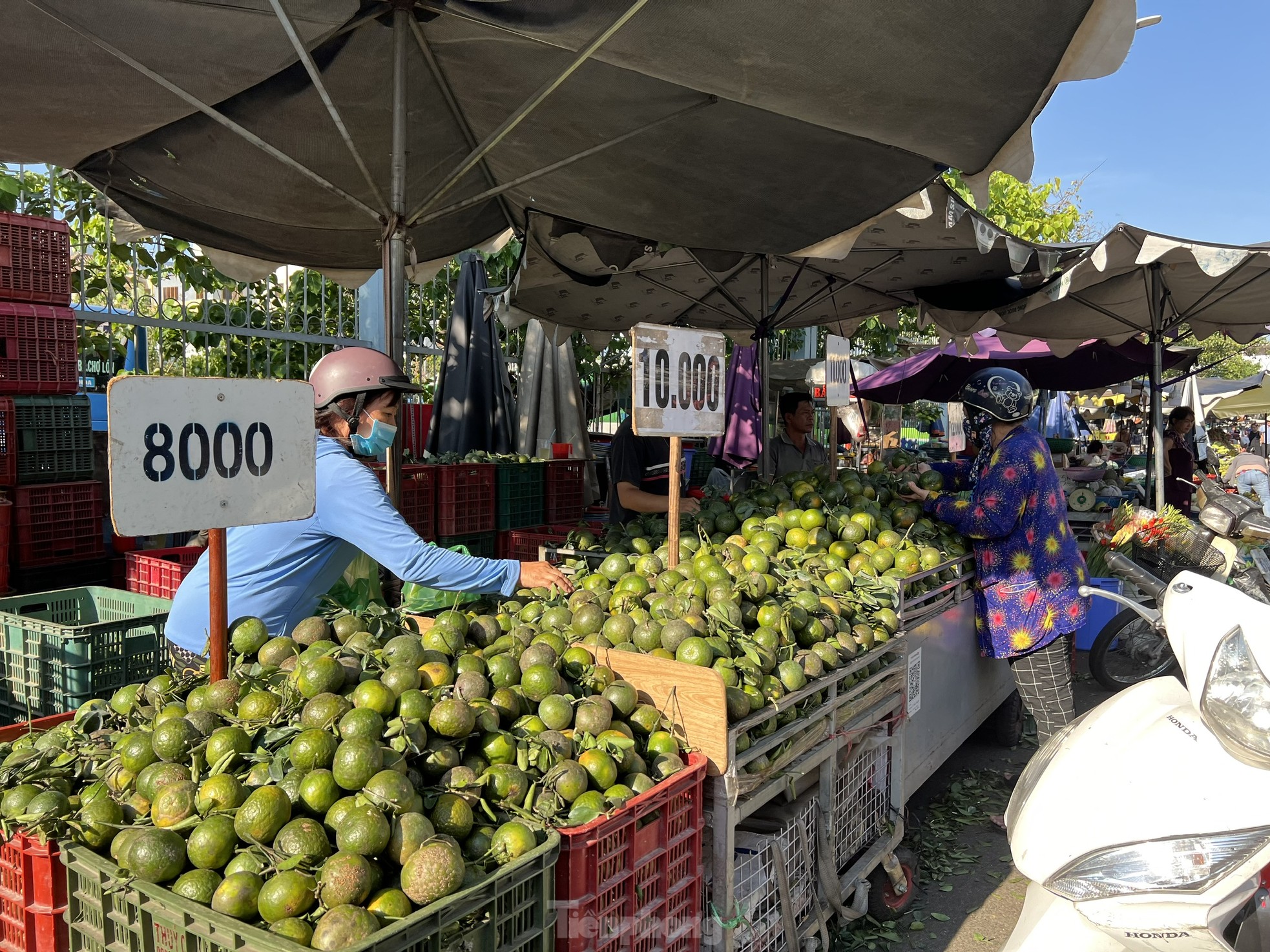 Trái cây rẻ không tưởng, cam sành chỉ 7.000 đồng/kg - Ảnh 6