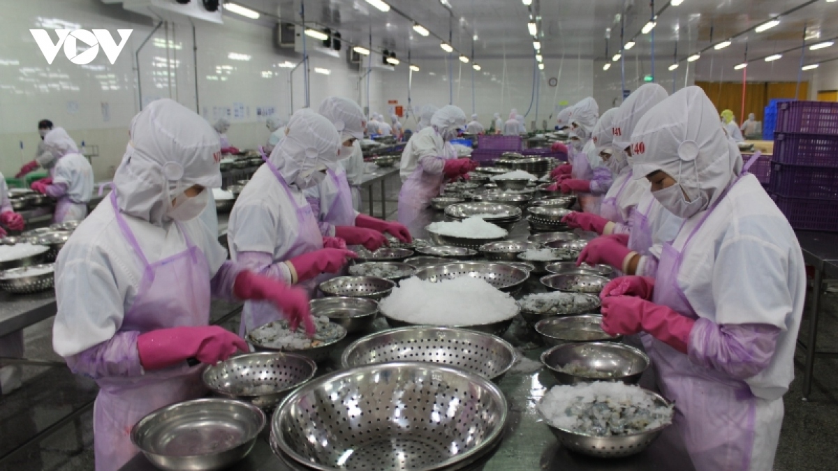 Xuất khẩu thủy sản tăng gần 30%, tín hiệu lạc quan những tháng đầu năm - Ảnh 1