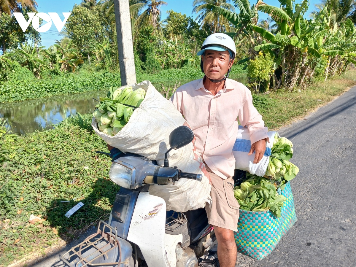 Rau màu mất giá, nông dân không có lãi - Ảnh 3