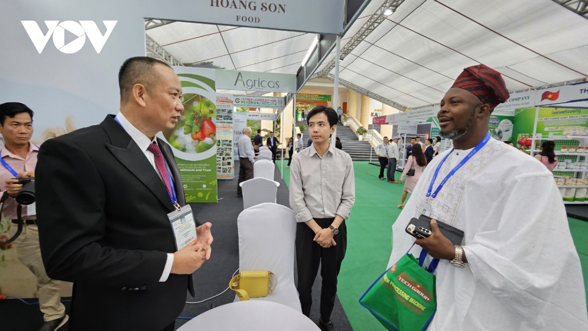 Vị trí số 1 thế giới về xuất nhập khẩu điều của Việt Nam lung lay - Ảnh 1