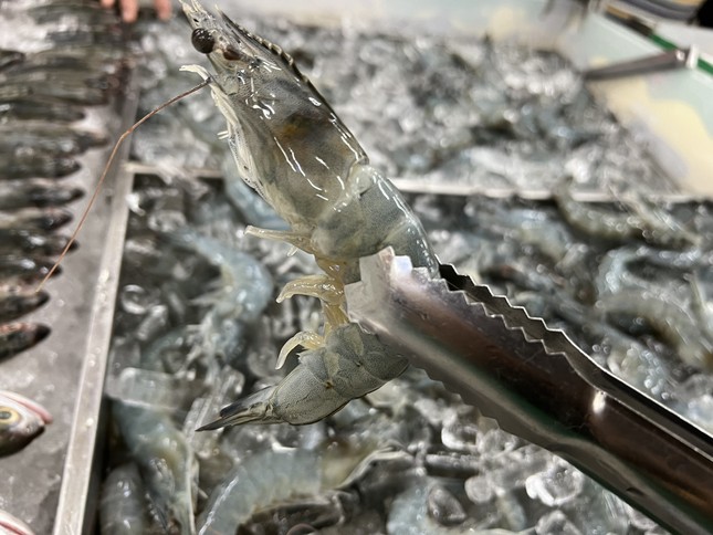 Doanh nghiệp Việt xuất khẩu tôm hàng đầu nhưng khó bán trong nước - Ảnh 2