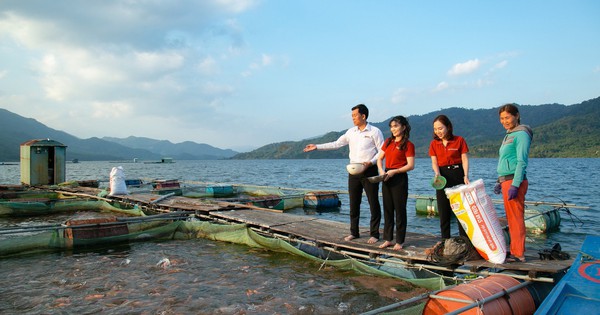 Một "ông lớn" ngân hàng rót thêm 8.000 tỷ đồng vốn tín dụng ưu đãi dành cho lĩnh vực lâm, thủy sản