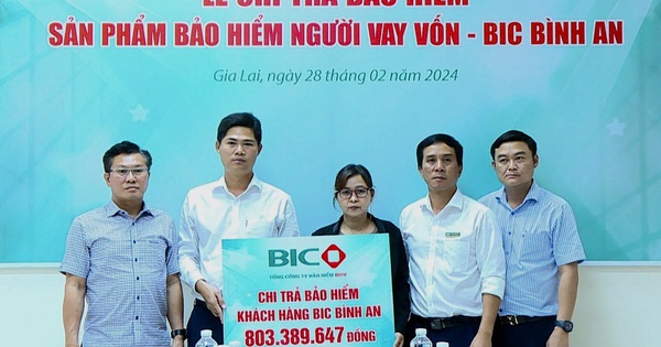 BIC Bắc Tây Nguyên chi trả hơn 800 triệu đồng quyền lợi bảo hiểm cho khách hàng vay vốn tại Gia Lai