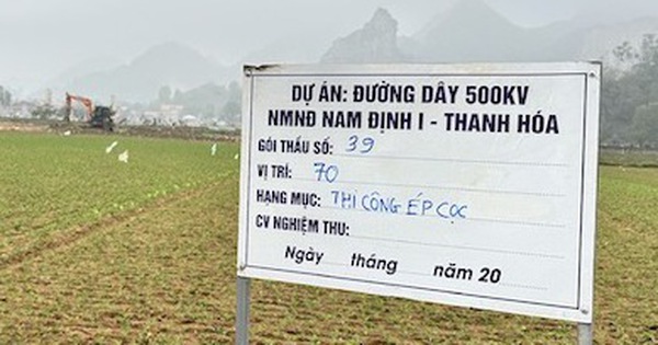 Một nhà thầu trượt 9 trên 10 gói thầu dự án đường dây 500kV