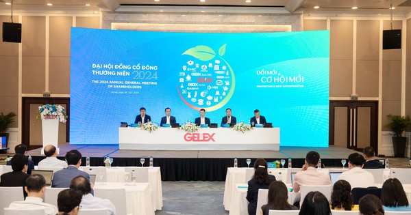 ĐHĐCĐ 2024 Tập đoàn GELEX diễn ra thành công