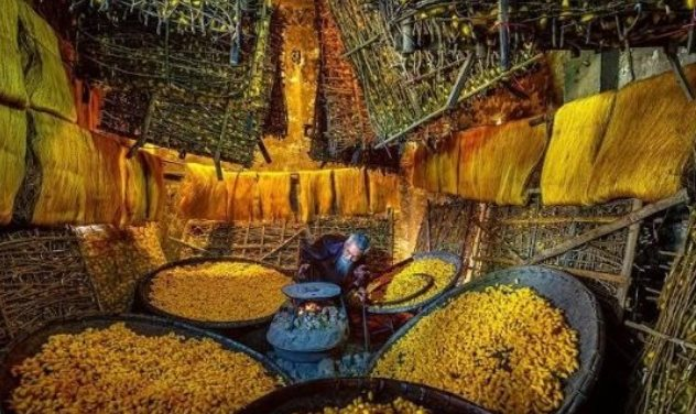 Một mặt hàng của Việt Nam được 3 cường quốc Mỹ - Trung - Nhật Bản ra sức 'tranh giành': thu về hơn 5 tỷ USD trong 2 tháng, Nga cũng tăng nhập khẩu gấp 2,5 lần - Ảnh 1