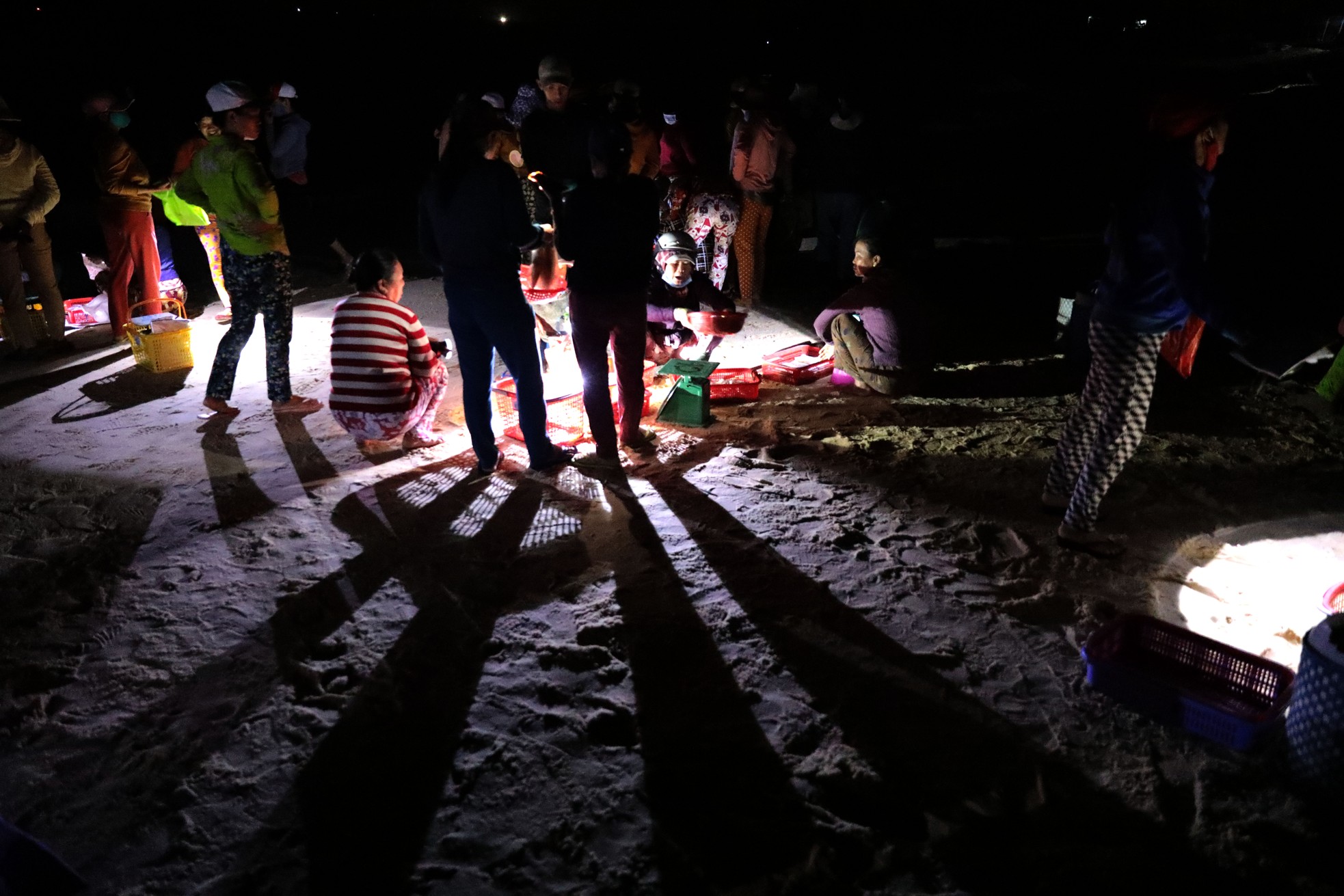 Độc lạ 'bến đèn pin' buôn bán hải sản sớm tinh mơ - Ảnh 2