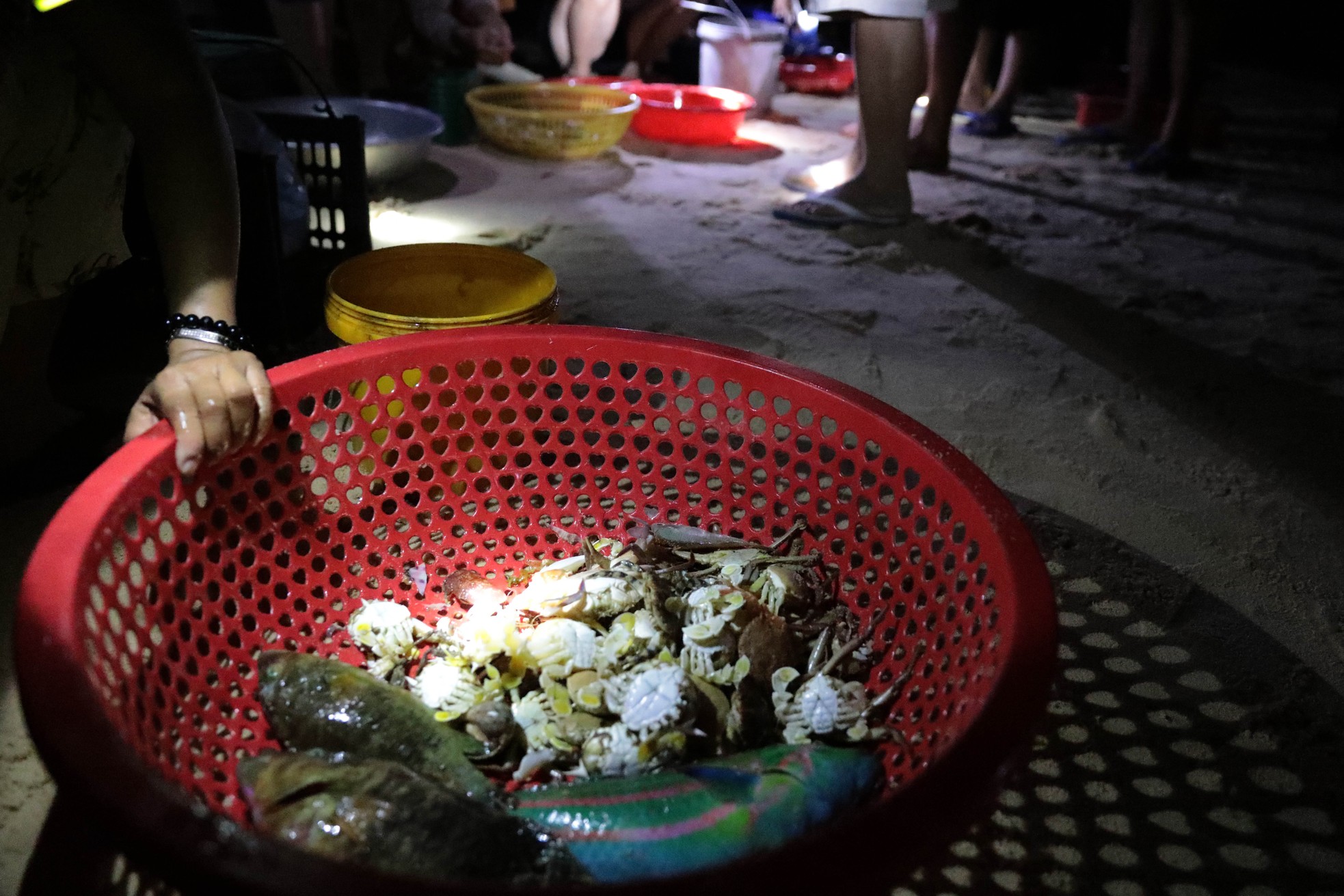 Độc lạ 'bến đèn pin' buôn bán hải sản sớm tinh mơ - Ảnh 3