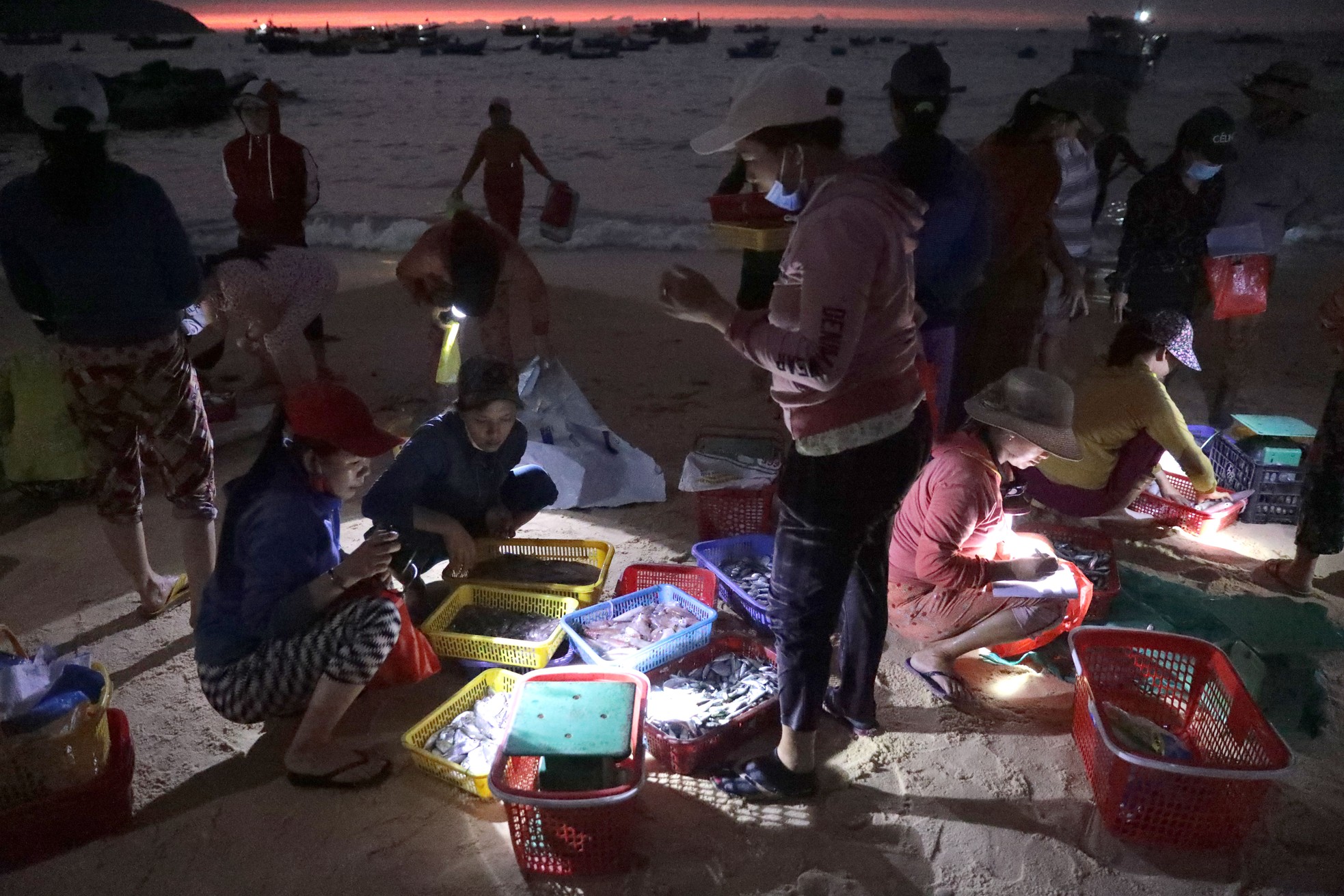 Độc lạ 'bến đèn pin' buôn bán hải sản sớm tinh mơ - Ảnh 4