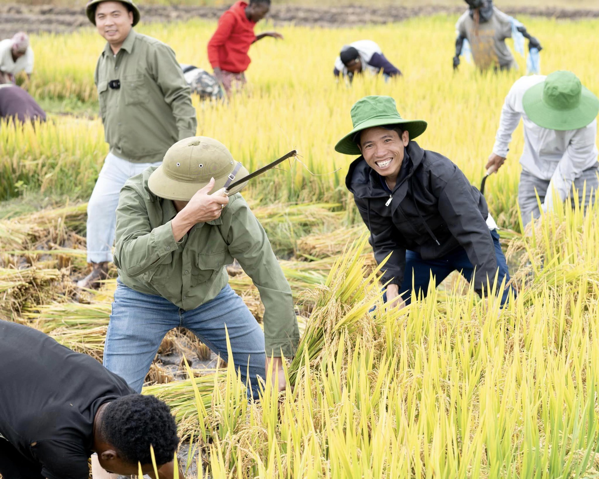 Công nghệ đập lúa "made in Vietnam" gây kinh ngạc ở Angola, chủ trang trại Việt ra quyết định mạo hiểm - Ảnh 3