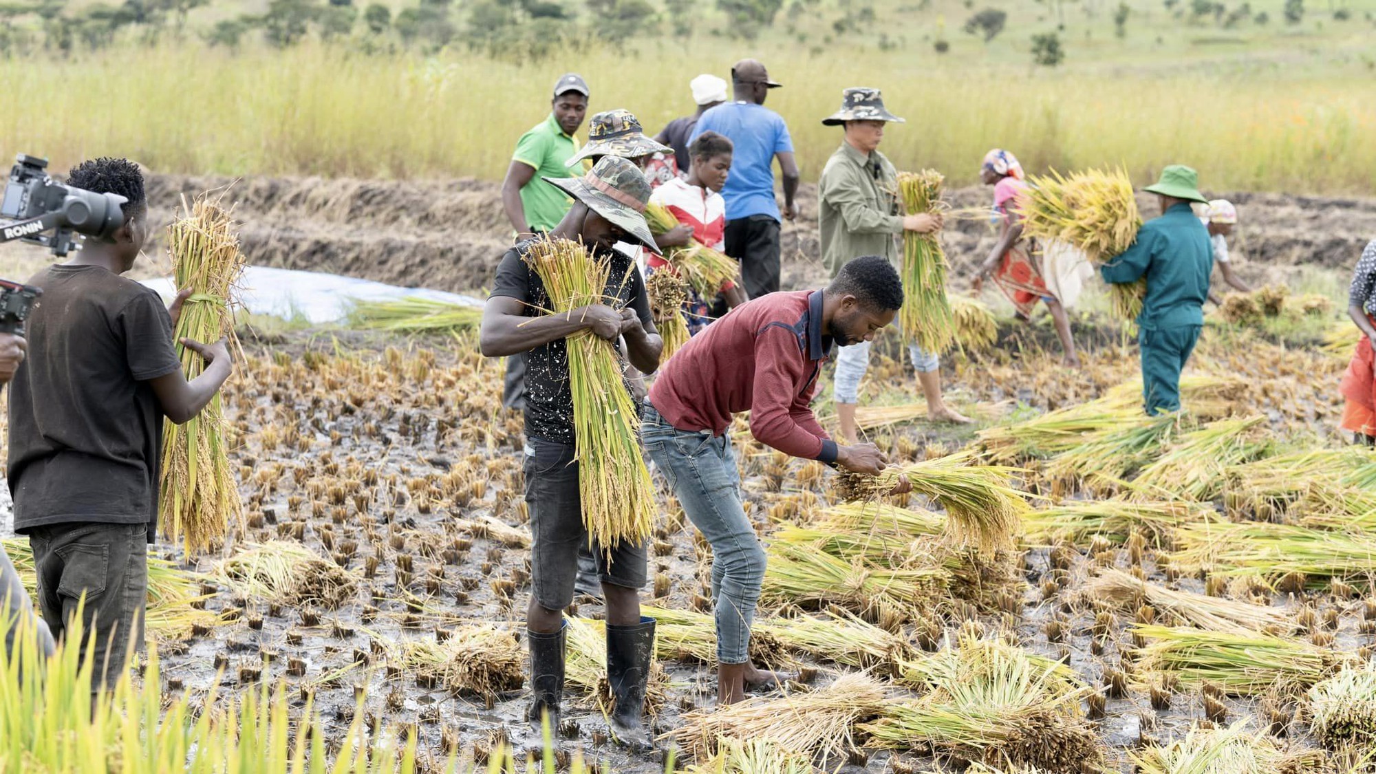 Công nghệ đập lúa "made in Vietnam" gây kinh ngạc ở Angola, chủ trang trại Việt ra quyết định mạo hiểm - Ảnh 1