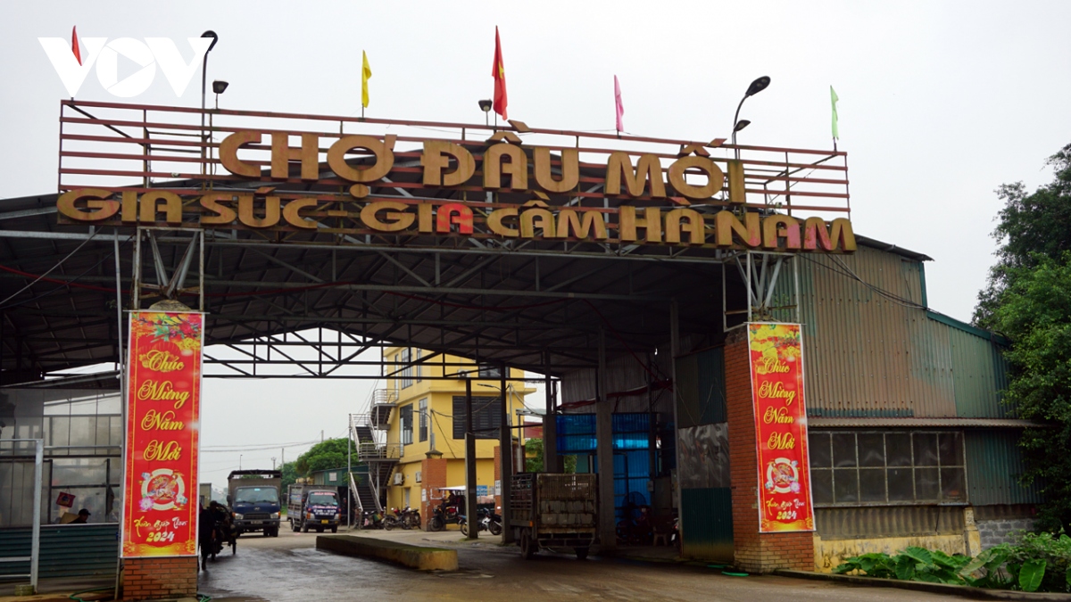 Giá lợn hơi được dự báo sẽ tăng trong dịp nghỉ lễ 30/4 - 1/5 - Ảnh 1