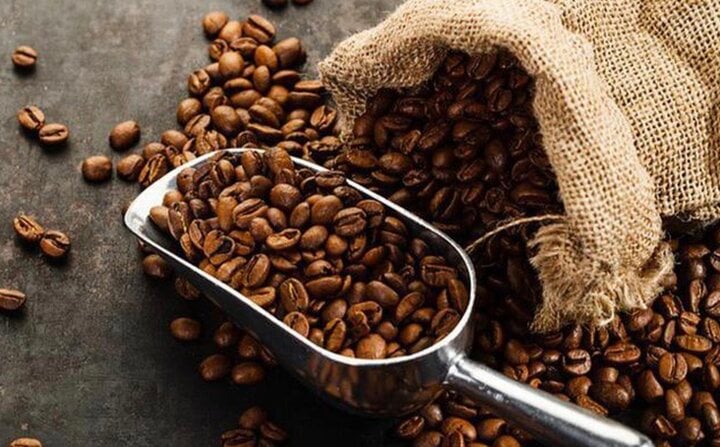 Giá cà phê trong nước liên tục phá kỷ lục, đang cao nhất lịch sử - Ảnh 1