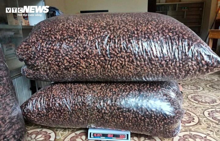 Thương lái bất ngờ thu mua xác ve sầu giá hơn 2 triệu đồng/kg - Ảnh 2