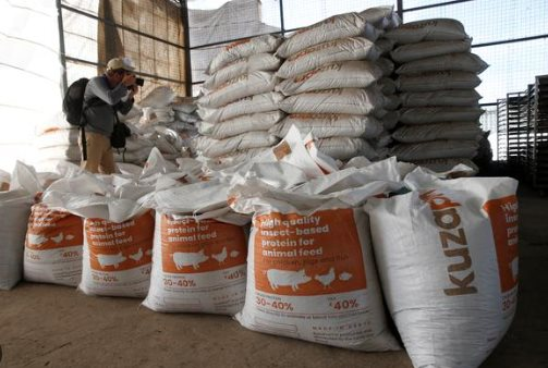 Trở thành ‘cứu tinh’ cho Trung Quốc, một mặt hàng của Việt Nam được các quốc gia châu Á săn lùng: Mỹ tăng nhập khẩu hơn 150%, sản lượng đứng thứ 8 thế giới - Ảnh 1