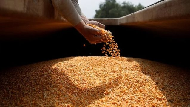 Hàng chục nghìn tấn mặt hàng này từ Lào đổ bộ dù Việt Nam có sản lượng gấp 8,5 lần - Ảnh 1