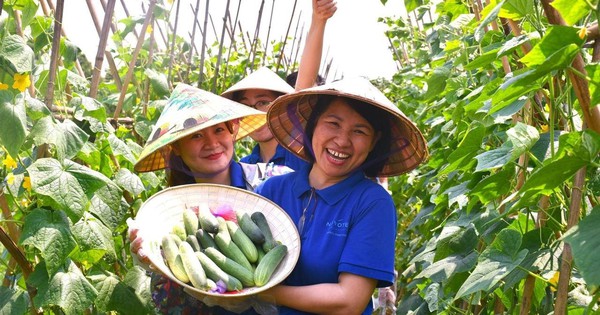 Tour du lịch ven đô Hà Nội hút khách nước ngoài