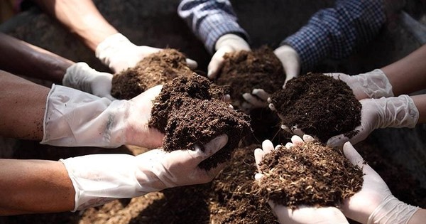 Trung Quốc, Nga là 'ông trùm' xuất khẩu phân bón sang Việt Nam nhưng đây mới là 'mỏ vàng mới nổi': giá siêu rẻ, Việt Nam tăng nhập hơn 81.000%