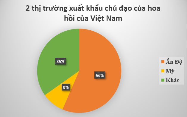 Sản vật triệu đô cực hiếm của thế giới mọc đầy tại Việt Nam: Ấn Độ, Mỹ đua nhau săn lùng, là loài cây có thể thu hoạch đến 80 năm - Ảnh 3