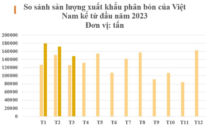 Thay thế Trung Quốc, một mặt hàng của Việt Nam đang lên cơn sốt khắp châu Á: Philippines tăng nhập khẩu gấp 4 lần, thu về hơn 200 triệu USD trong quý 1 - Ảnh 2